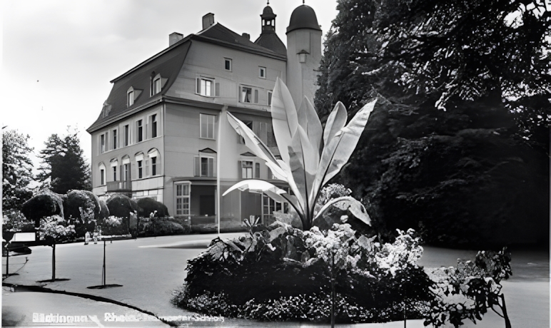 Schloss Schönau